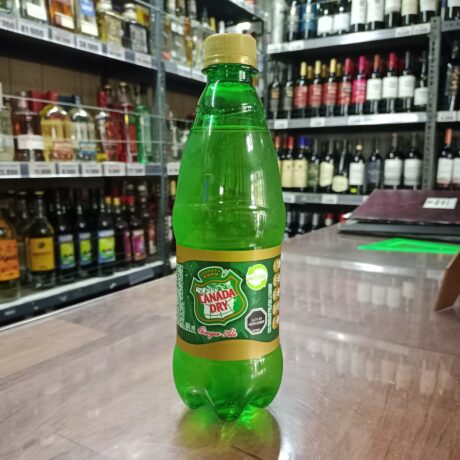 Canada Dry Ginger 600 ml