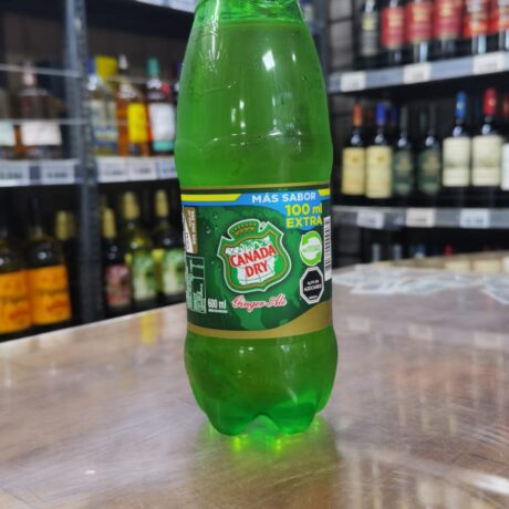 Canada Dry Ginger Ale 600ml